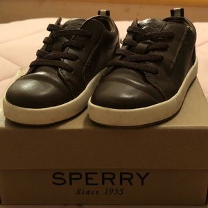 toddler boy sperry dress shoes